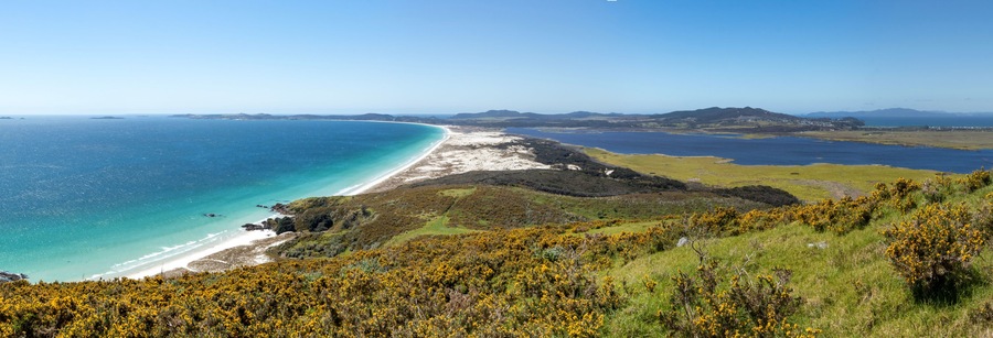Puheke Lookout: Iconic Meeting of Native flora and Azure Seascape in the Karikari Peninsula, Northland, New Zealand