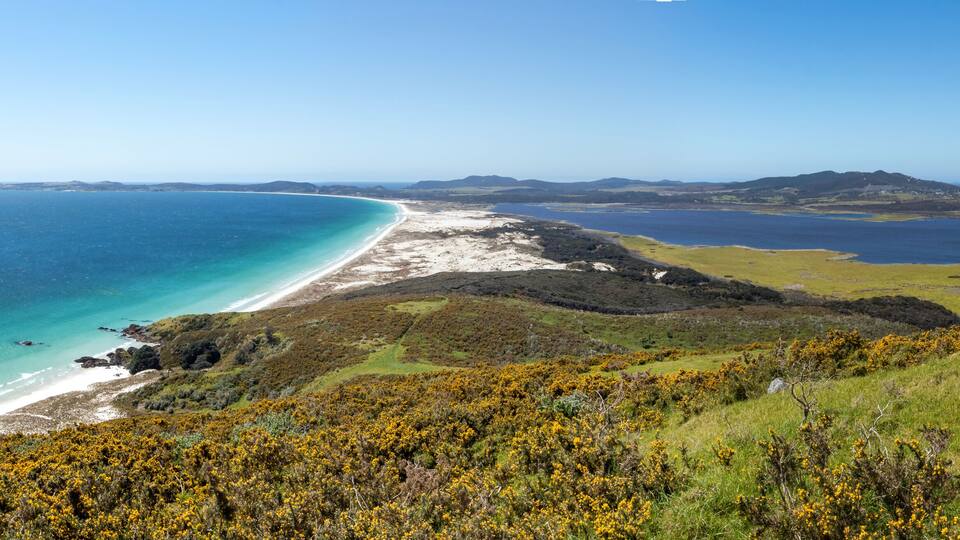 A coastal landscape with a beach, grassy hills, and distant mountains.