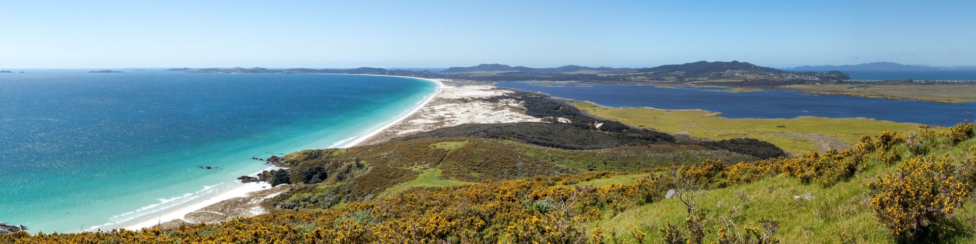 Puheke Lookout: Iconic Meeting of Native flora and Azure Seascape in the Karikari Peninsula, Northland, New Zealand