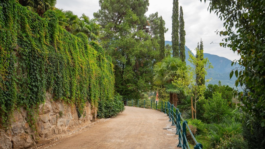 Tappeiner Walk which includes a park and views