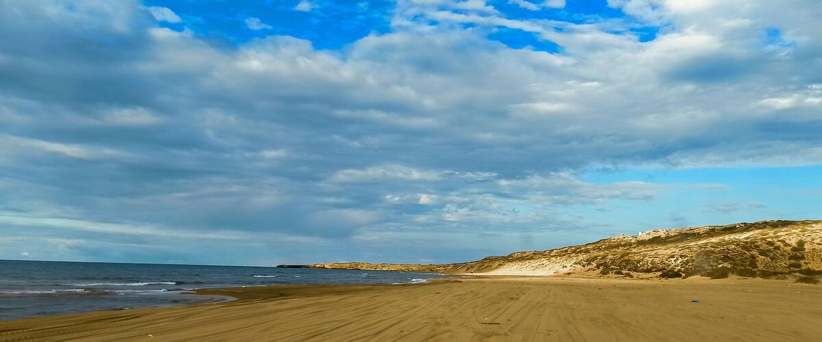 A beach with a sandy shore and a hill in the background.