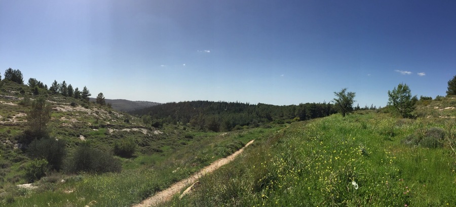 The green and beautiful Israel. Day trip.