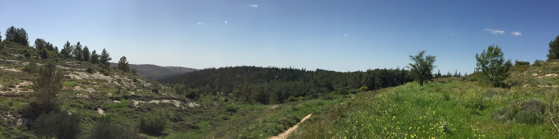 The green and beautiful Israel. Day trip.