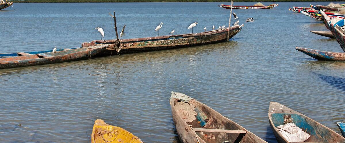 A calm water body with several small boats docked, some with birds perched on them.