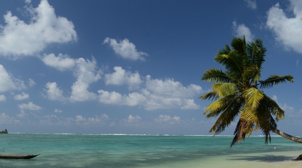 Panorama plage paradisiaque