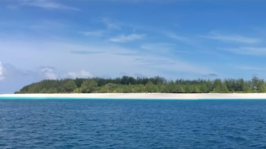 blue see and white sand of the mnemba atoll, zanzibar, tanzania,