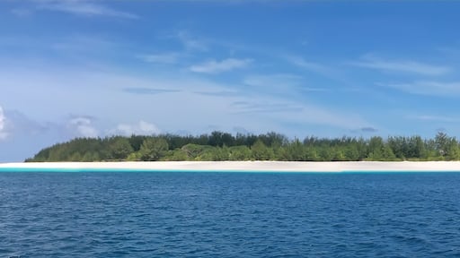 blue see and white sand of the mnemba atoll, zanzibar, tanzania,