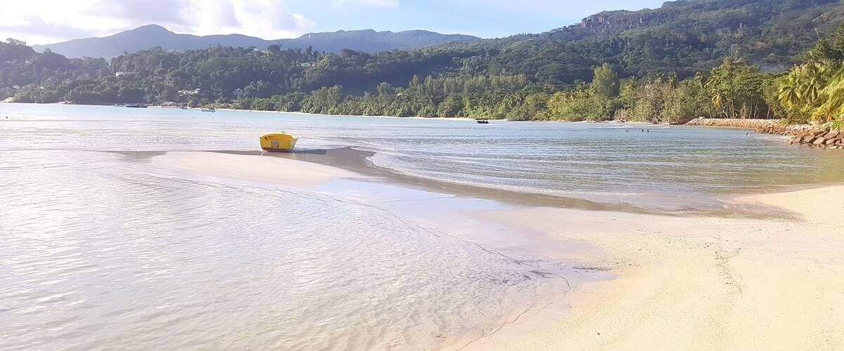 A beach with clear water, a yellow boat, and a forested hillside in the background.