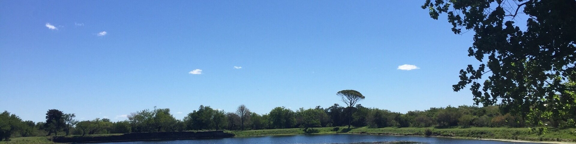 Un lago tranquilo con aguas azules cristalinas, rodeado de orillas cubiertas de hierba y árboles.
