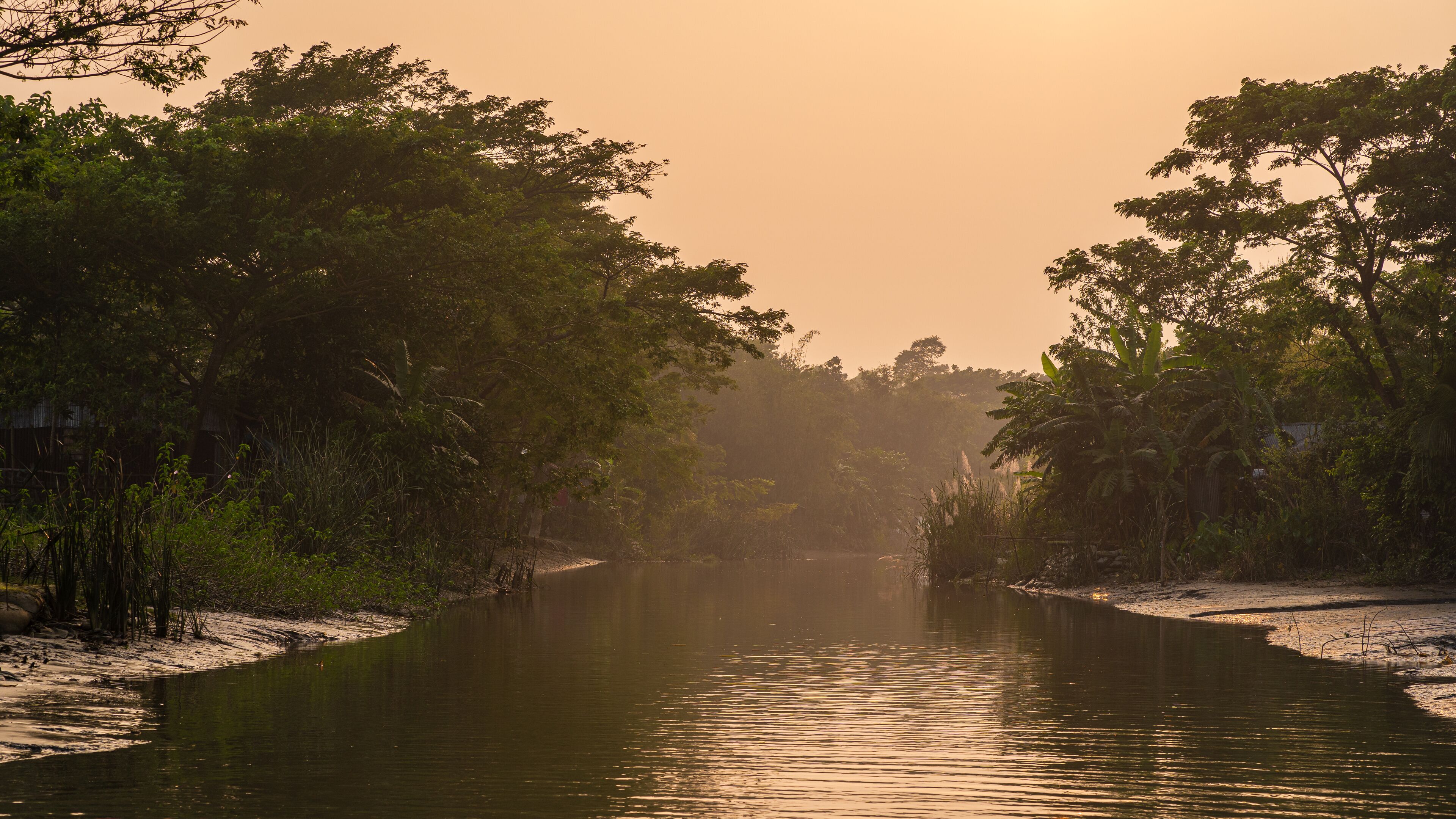 A river surrounded by dense foliage and trees.