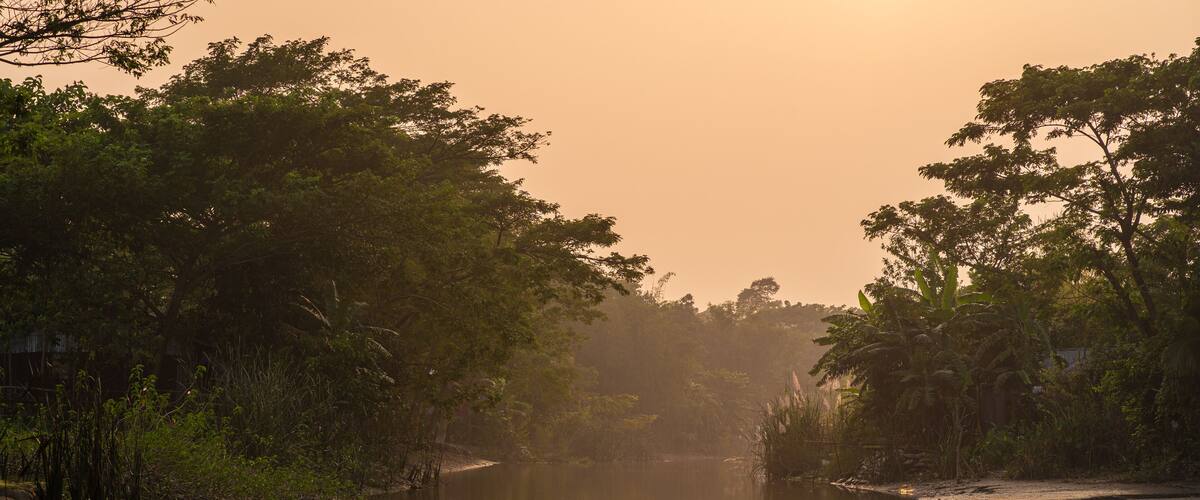 A river surrounded by dense foliage and trees.