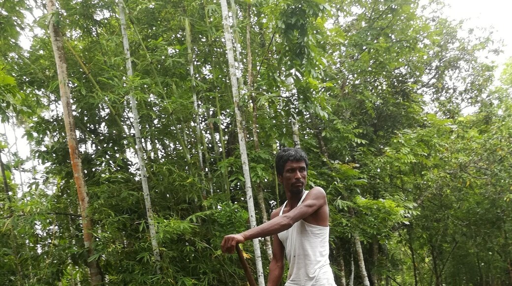 On the way to floating guava market.