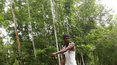 On the way to floating guava market.