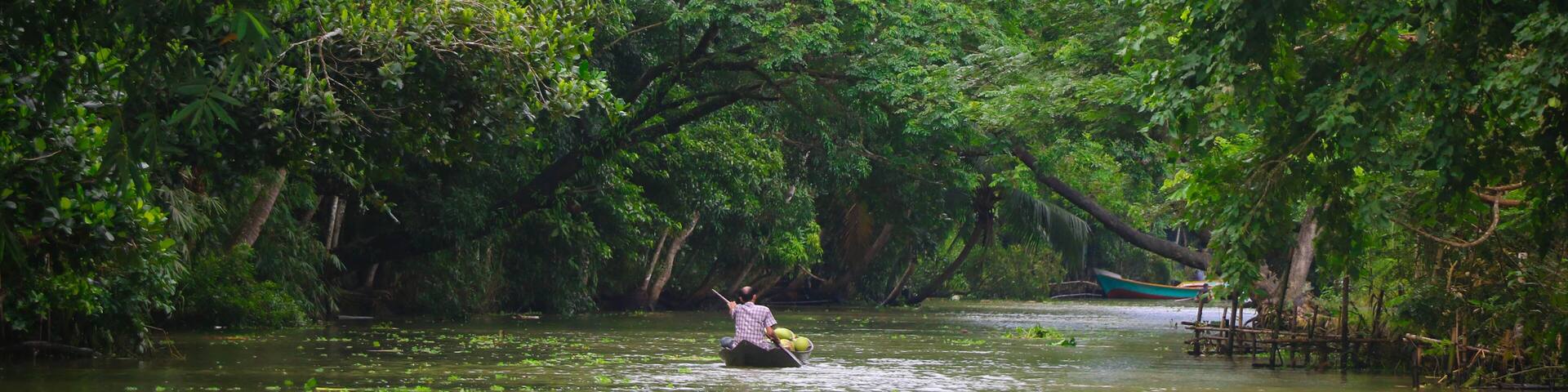 Natural Beauty in the Rural Areas of Barishal, Bangladesh