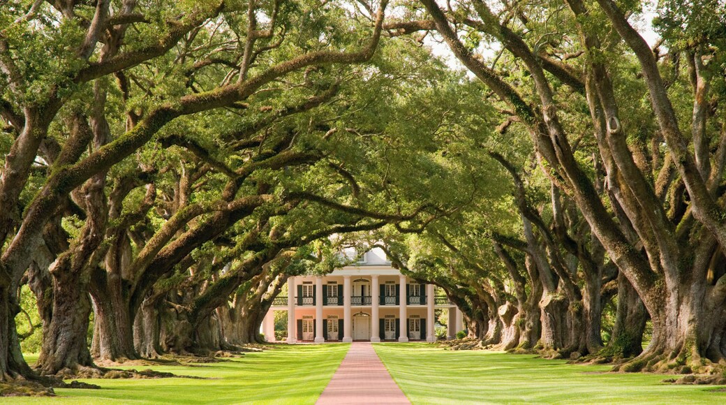 Plantation d'Oak Alley