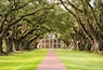 Plantation d'Oak Alley