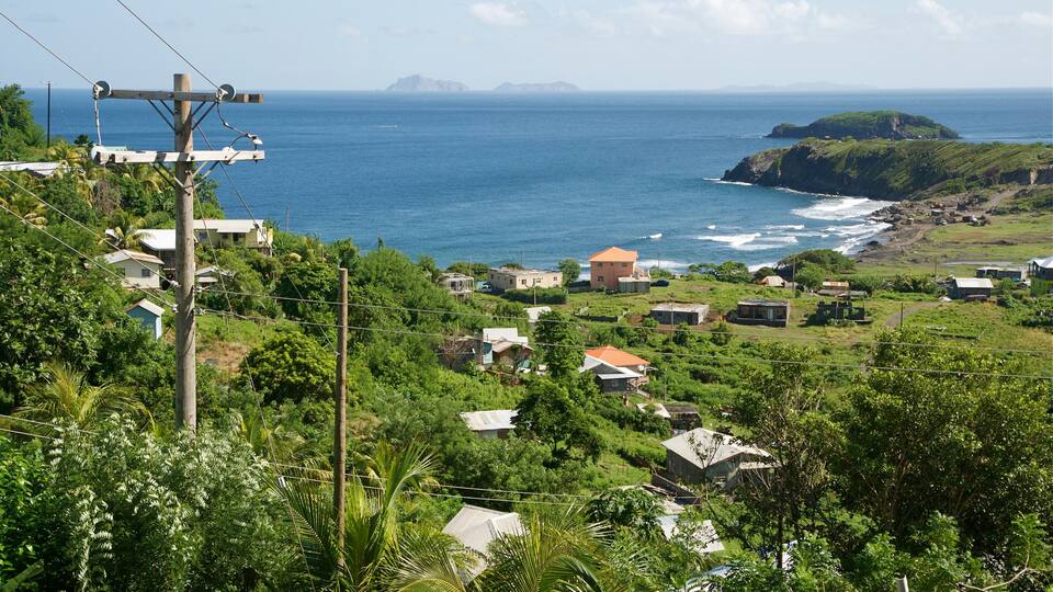 A coastal village with houses, lush greenery, and the ocean.