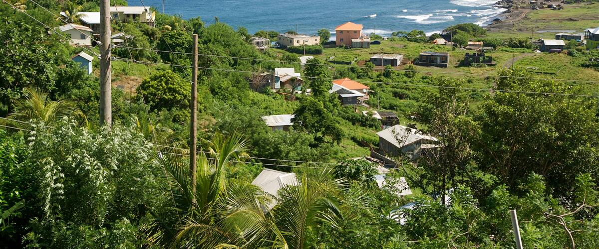 A coastal village with houses, lush greenery, and the ocean.