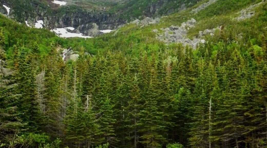 Just below the Ravine.