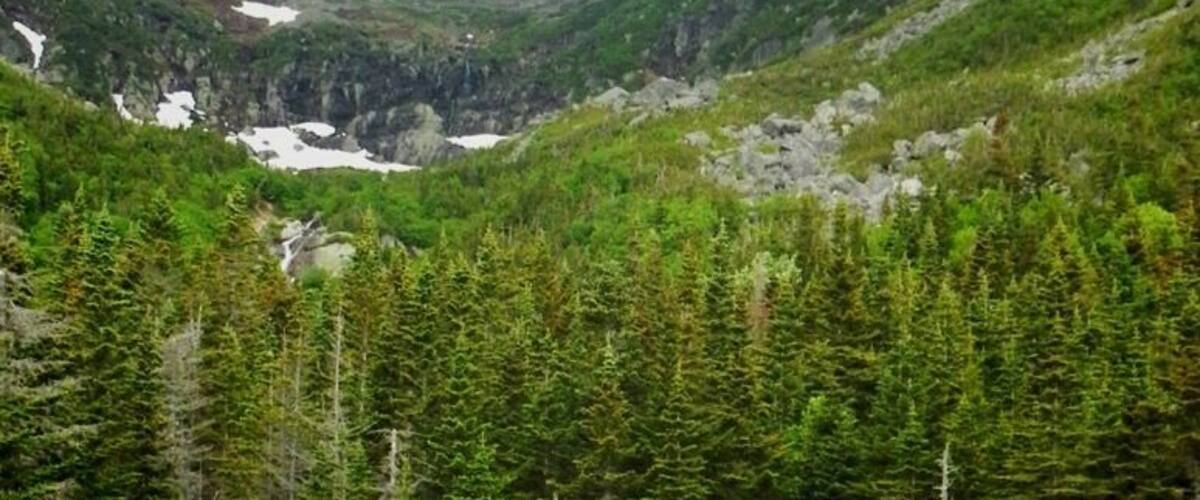 Just below the Ravine.