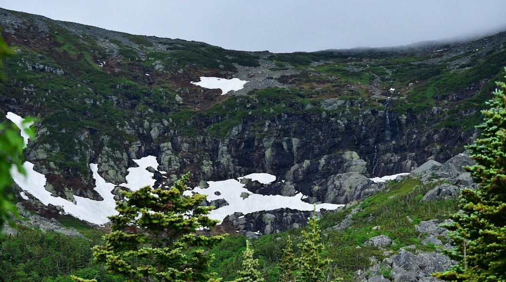 Tuckerman's Ravine mid June 2017