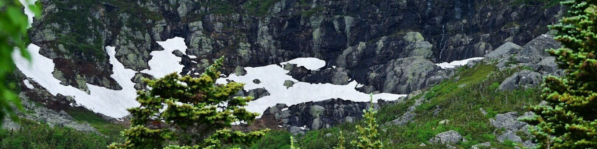 Tuckerman's Ravine mid June 2017