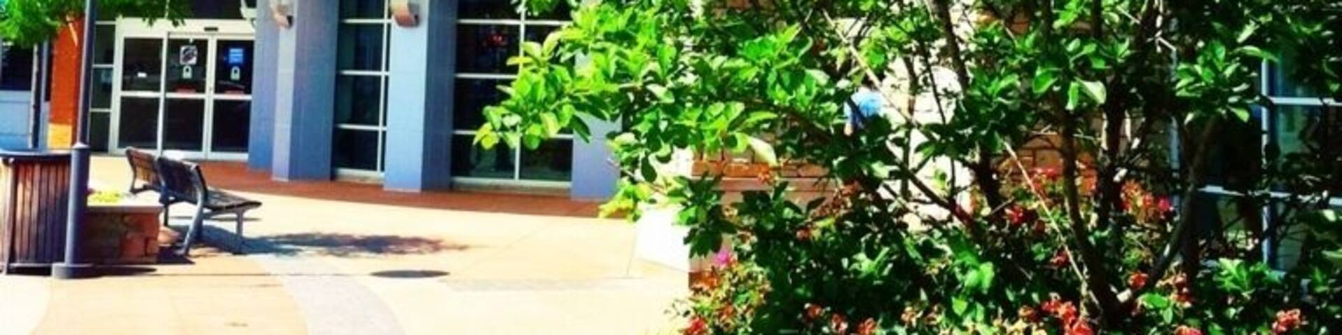 Probably the nicest mall in northern Ohio haha