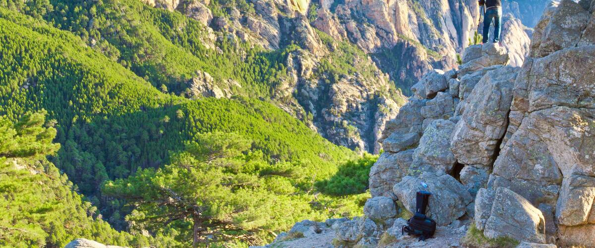 A mountainous landscape with rocky outcrops and dense green forests.