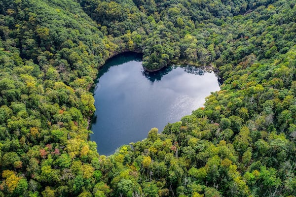 Une vue aérienne d’une forêt avec un lac en forme de cœur.