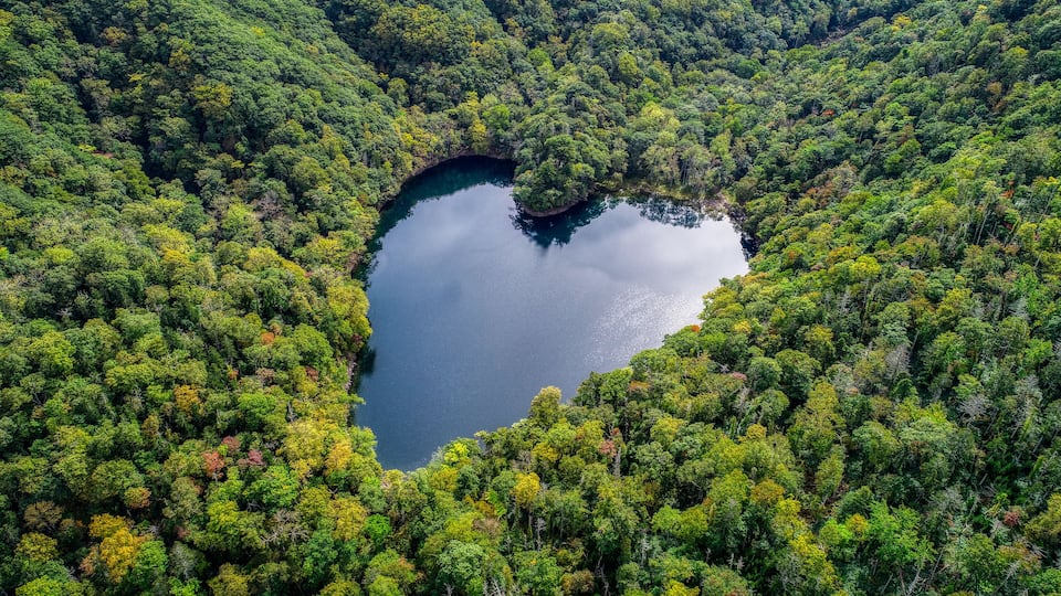 An aerial view of a forest with a lake shaped like a heart.