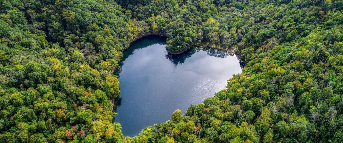 An aerial view of a forest with a lake shaped like a heart.