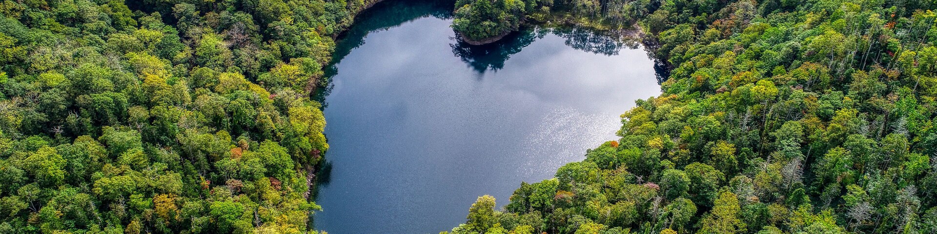 An aerial view of a forest with a lake shaped like a heart.