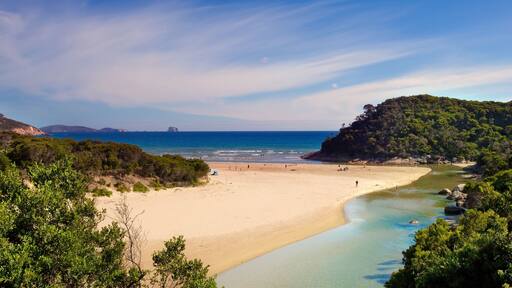 ウィルソンズ プロモントリー