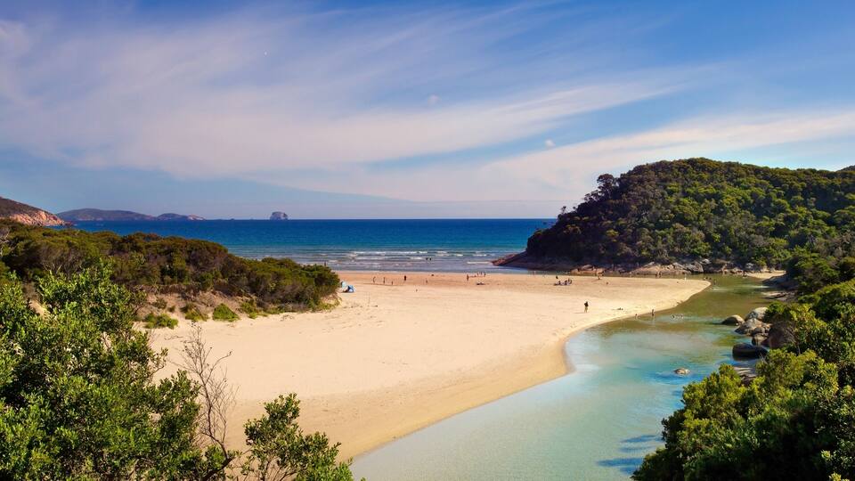 A coastal beach with clear waters, sandy shore, and surrounding greenery.