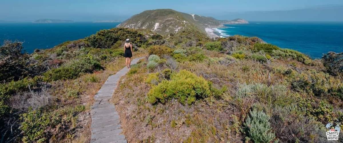 🇷🇴 Australia este pe lista ta pentru anul #2020? Dacă da, merită să iei în considerare partea de vest a Australiei. Pe noi ne-au uimit plajele splendide și peisajele fascinante! ❤️
🇬🇧 Australia is on your list for #2020? If yes, you may take into consideration the western part of Australia. We were amazed by the amazing beaches and fascinating landscapes! ❤️
#cherryontheworld  #travel #australia #albany #trekking #photography