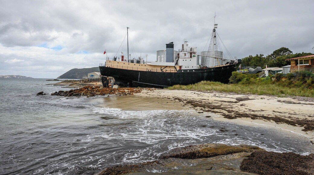 A reminder of a cruel past in our history, the Cheynes Beach Whaling Company was the last whaling company to cease operations in Australia, closing in 1978. Opening in 1980 (known then as Whale World), it is now home to an interactive museum on whales and whaling.