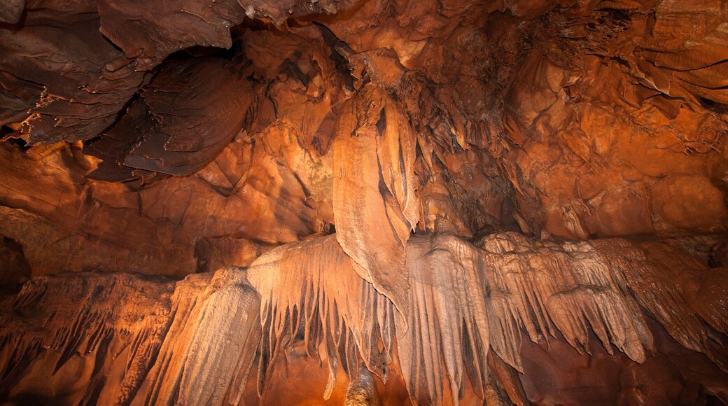Mamoth Cave National Park