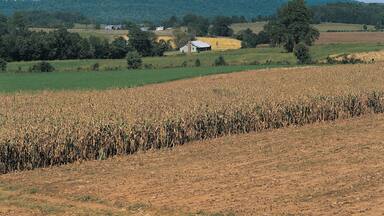 Farm landscape near Mammoth Cave, Kentucky, USA