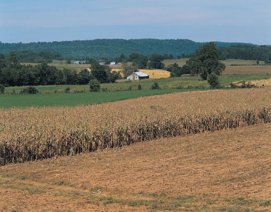 Farm landscape near Mammoth Cave, Kentucky, USA