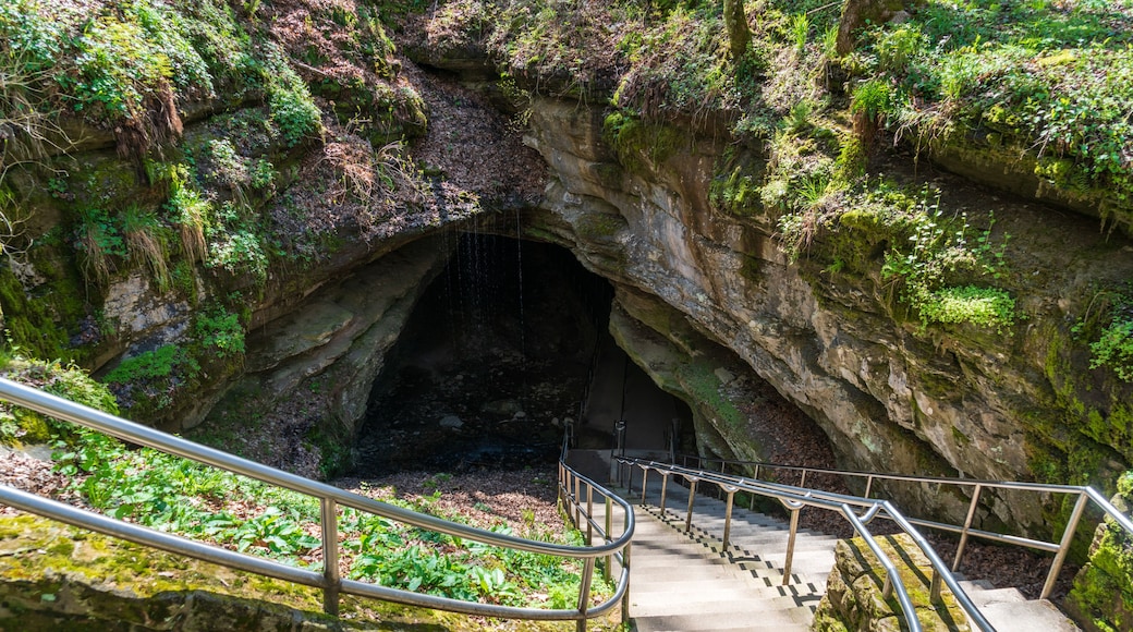 Mammoth Cave