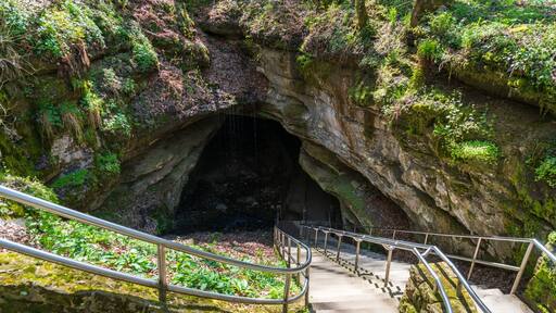 Mammoth Cave