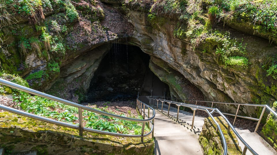 A staircase leading into a cave with moss-covered walls and a metal railing.
