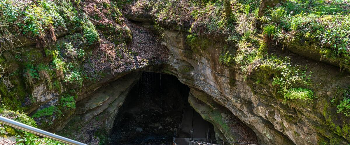 A staircase leading into a cave with moss-covered walls and a metal railing.