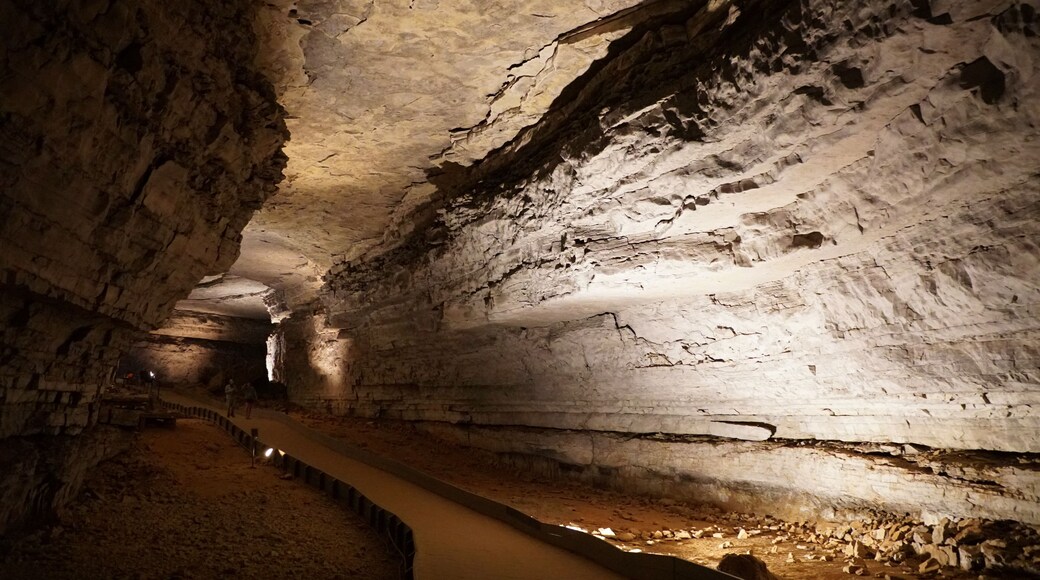 ๋งค๋จธ๋ ์ผ์ด๋ธ