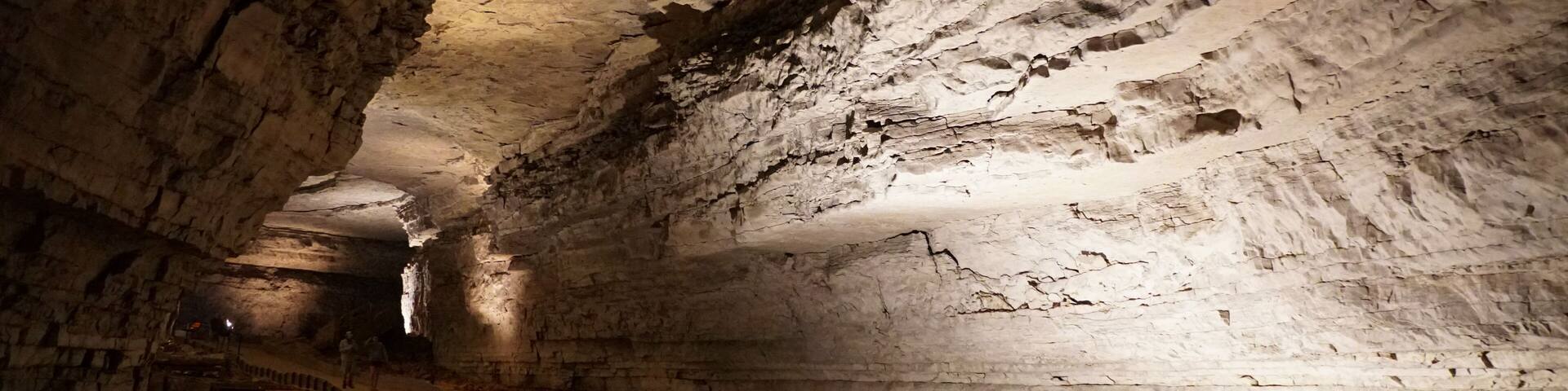 A cave with a narrow passageway, rough walls, and a dimly lit environment.