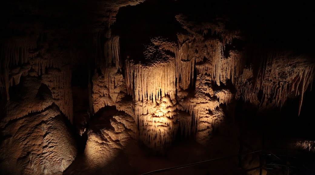 Mammoth Cave