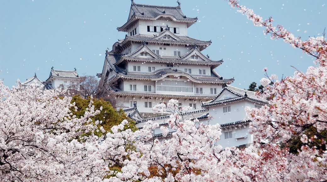 Castle of Himeji with spring cherry blossoms at Japan