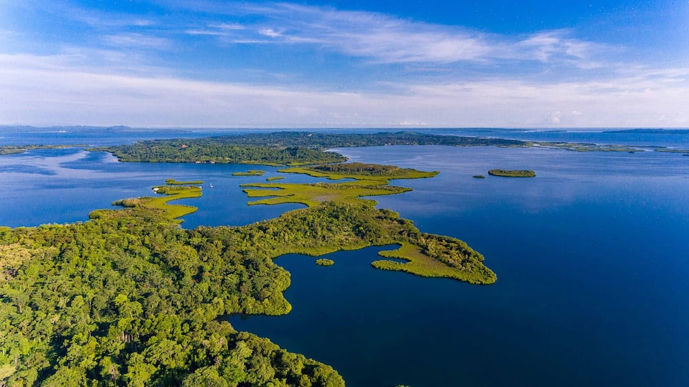 Bocas Del Toro Dolphin Bay Island Aerial View