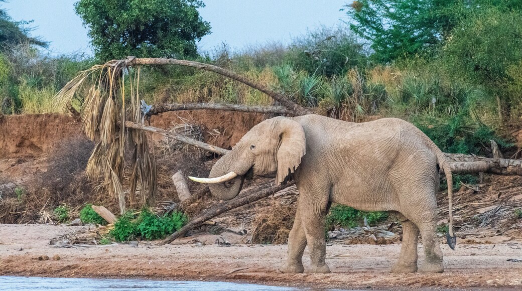 埃瓦索恩吉羅河