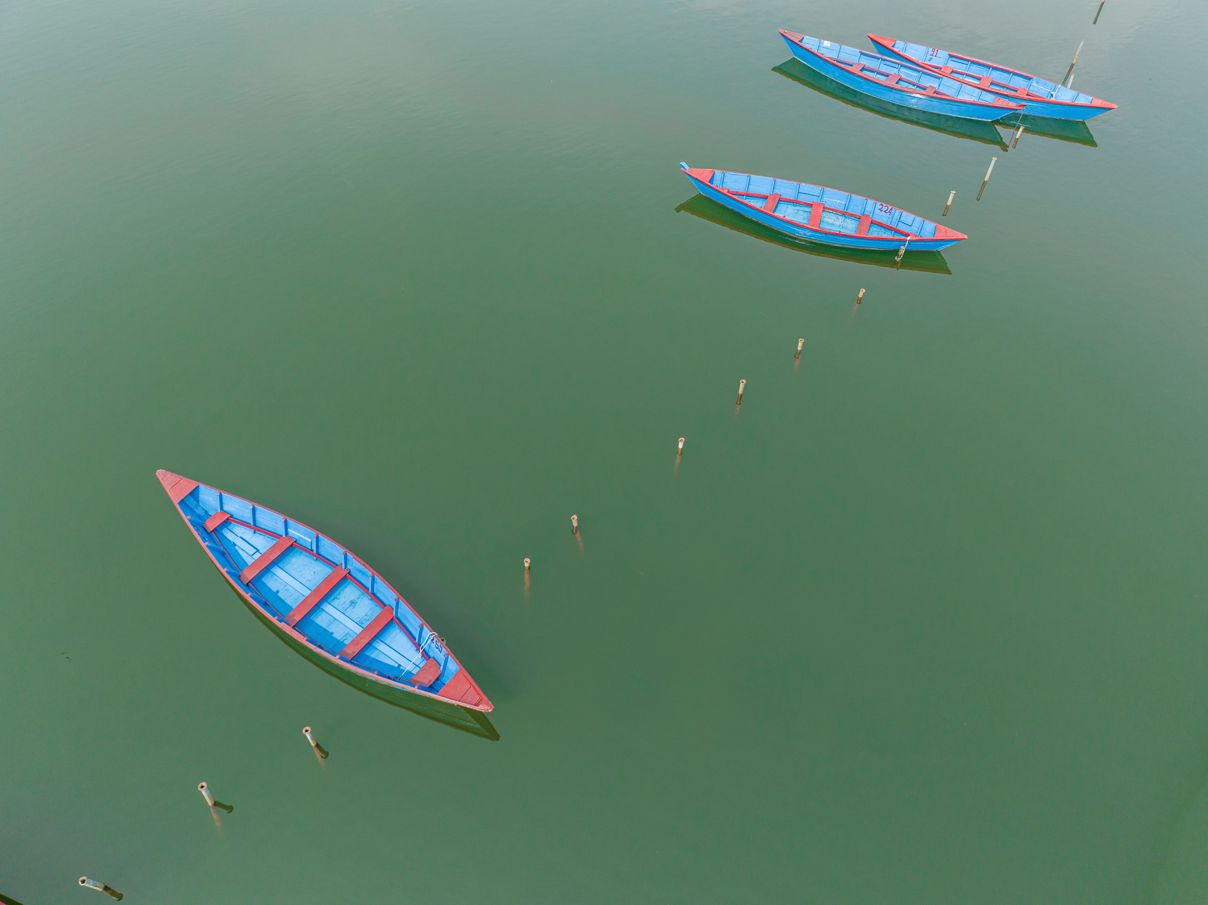 A row of blue and red boats anchored in calm water.